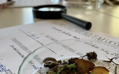 Nový volitelný předmět – Přírodovědné praktikum