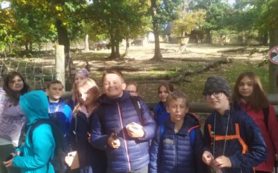 Slunný den v brněnské ZOO