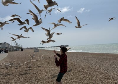Moře, vlny a spousta racků v Brightonu