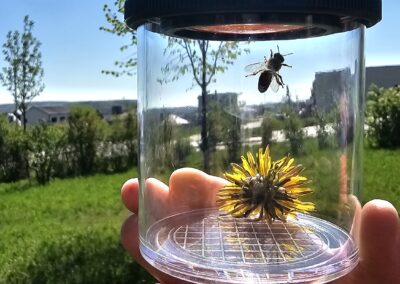 Den Země s prvňáčky.