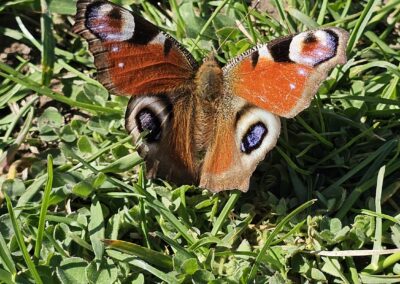 Den Země s prvňáčky.