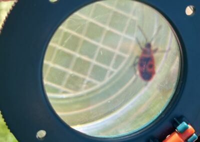 Den Země s prvňáčky.